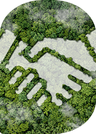 grass in shape of a handshake